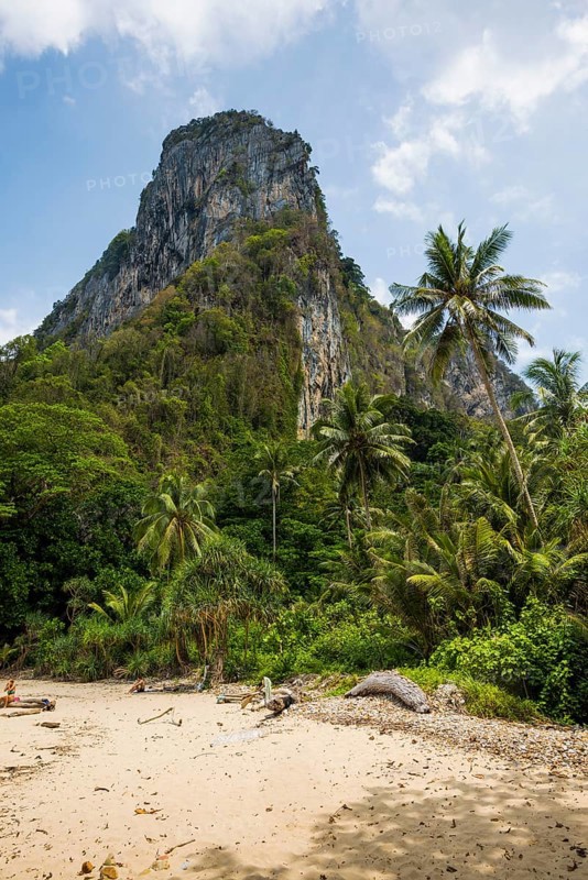 White sandy beach and coconut palms, Sabai Beach, Koh Mook, Trang Province, Southern Thailand, Andaman Sea, Thailand