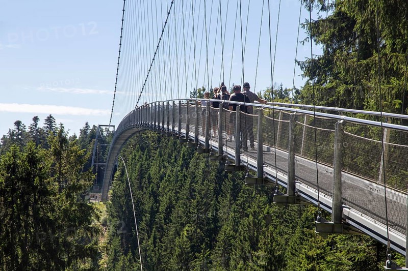 Wildline Bad Wildbad: The pedestrian suspension bridge is 380 metres long and 60 metres high. It was opened as a tourist attraction in 2018