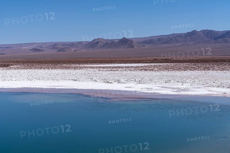 Coloured salt formations at the Lagunas Escondidas de Baltinache, Atacama Desert, Toconao, San Pedro de Atacama, Región de Antofagasta, Chile