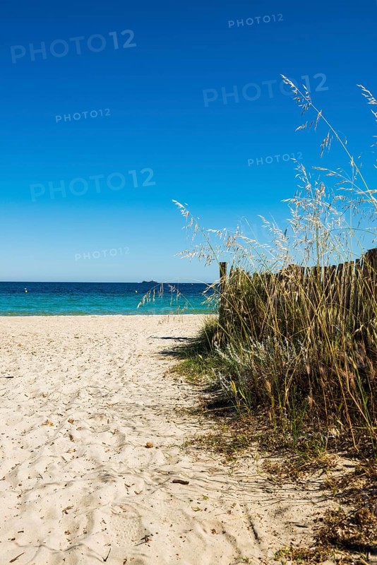 Sandy beach beach, Plage de Tahiti, Saint Tropez, Var, French Riviera, Provence-Alpes-Cote d'Azur, Cote d Azur, France