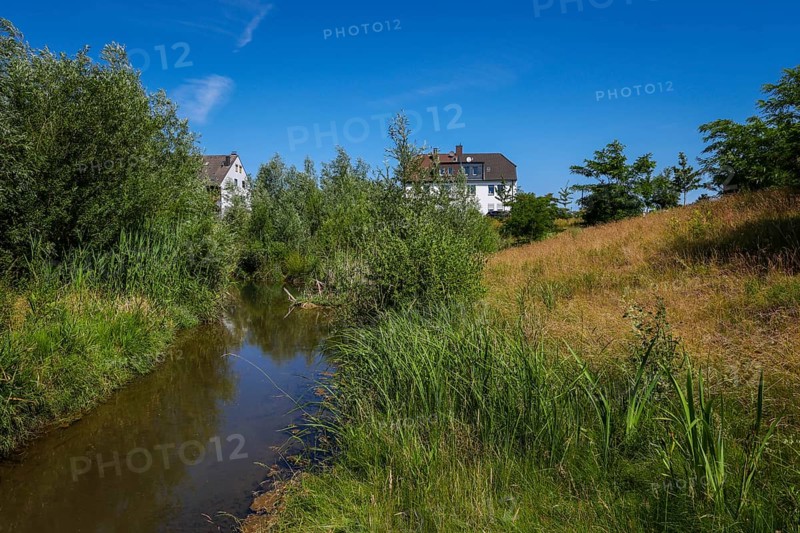 Recklinghausen, North Rhine-Westphalia, Germany - Renaturalised Hellbach, renaturalised watercourse, the Hellbach is now free of wastewater after the construction of a parallel sewer, is part of the Emscher river system and thus part of the Emscher conversion, was previously an open, above-ground wastewater channel, mixed water channel with surface water and wastewater. The renaturalised Hellbach stream strengthens the city's climate resilience, promotes biodiversity and helps to mitigate urban warming caused by climate change