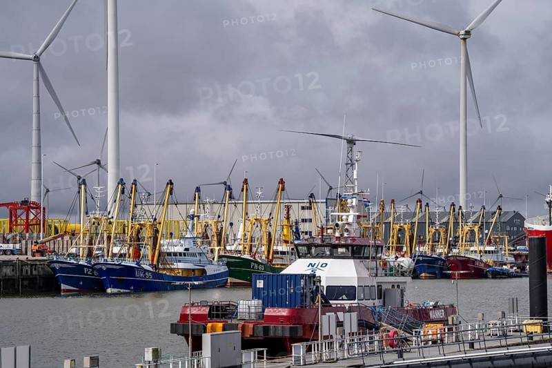 Fishing boats in Beatrixhaven, the seaport of Eemshaven, industrial harbour, at the quay, Netherlands