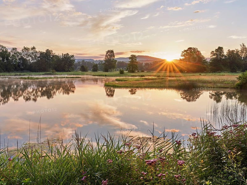 Sunrise at a pond in the Schoren nature reserve, Mühlau, Freiamt, Canton Aargau, Switzerland
