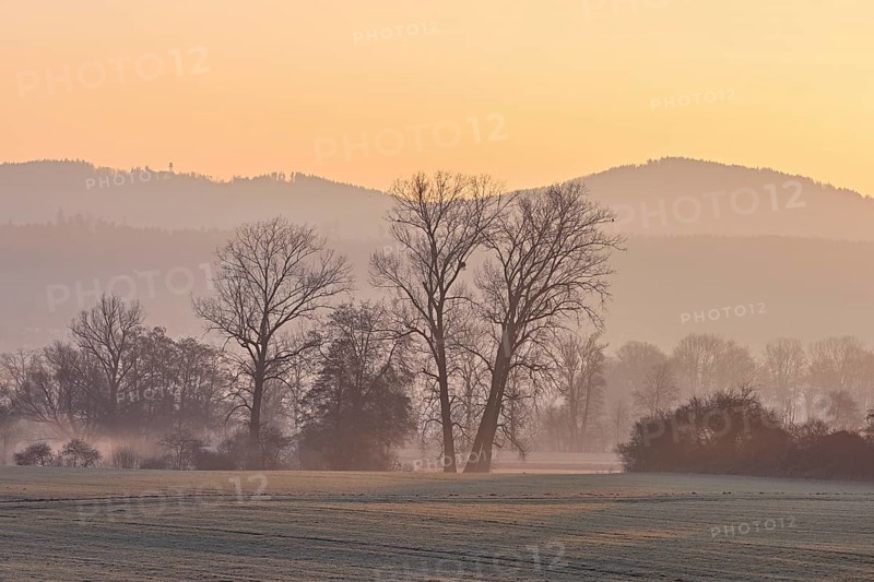 Meadows and trees in the early morning mist in the light of the rising sun, Reusstal, Aristau, Freiamt, Canton Aargau, Switzerland