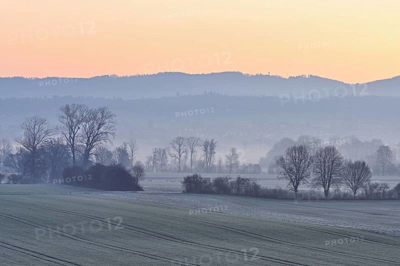 Meadows and trees in the early morning mist in the light of dawn, Reusstal, Aristau, Freiamt, Canton Aargau, Switzerland