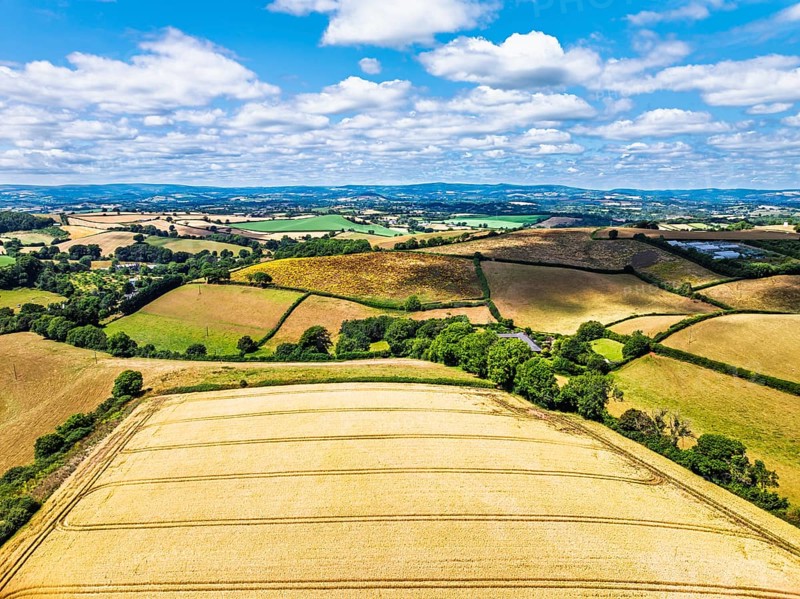 DefaultFarms and Fields over Torquay from a drone, Devon, England, United Kingdom