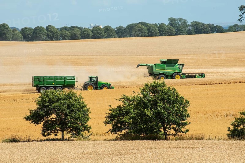 Landscape with threshing of grain with combine harvester at Ystad, Skåne county, Sweden, Scandinavia