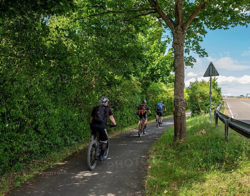 Cyclist on a cycle path between corn fields and trees along the route between Frankfurt am Main and Kelsterbach, Hesse, Germany