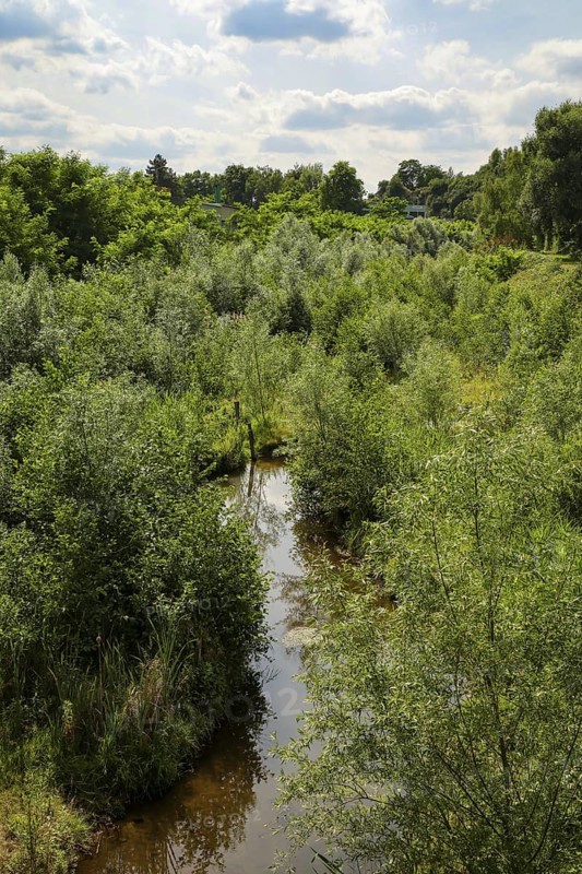 Bottrop, North Rhine-Westphalia, Germany - Renaturalised Boye, the tributary of the Emscher, was transformed into a near-natural watercourse, flood protection through newly designed flooding areas, the Boye is now free of sewage after the construction of a parallel sewer, is part of the Emscher river system and thus part of the Emscher conversion, was previously an open, above-ground wastewater channel, mixed water channel with surface water and wastewater