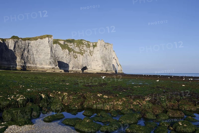 Cliffs with the Falaise d'Aval rock gate, Etretat, Alabaster Coast, Seine-Maritime, Normandy, France