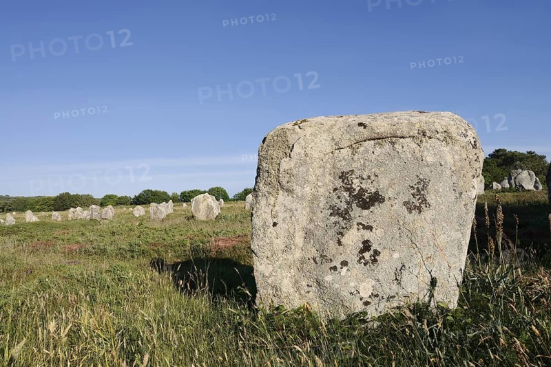 Megalithe, Alignements du Menec, Carnac, Department of Morbihan, Brittany, France