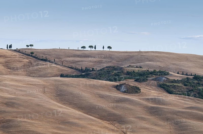 Tuscan landscape, Tuscany, Italy