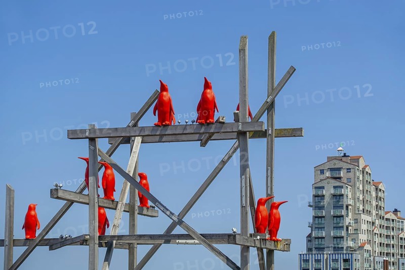 Rode Pinguins, Red Penguins, artwork by Belgian artist William Sweetlove in the harbour of Breskens along the Western Scheldt, Zeeland, Netherlands