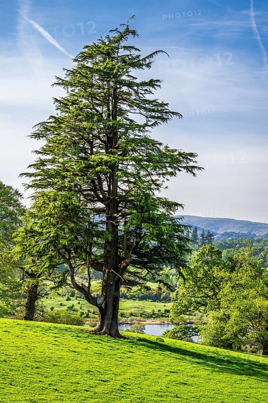 Farms in Lake District National Park, Cumbria, England, United Kingdom