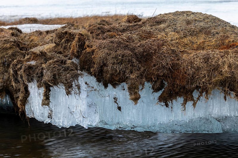 Permafrost, ice below the surface, Aventdalen, Longyearbyen, Spitsbergen, Svalbard