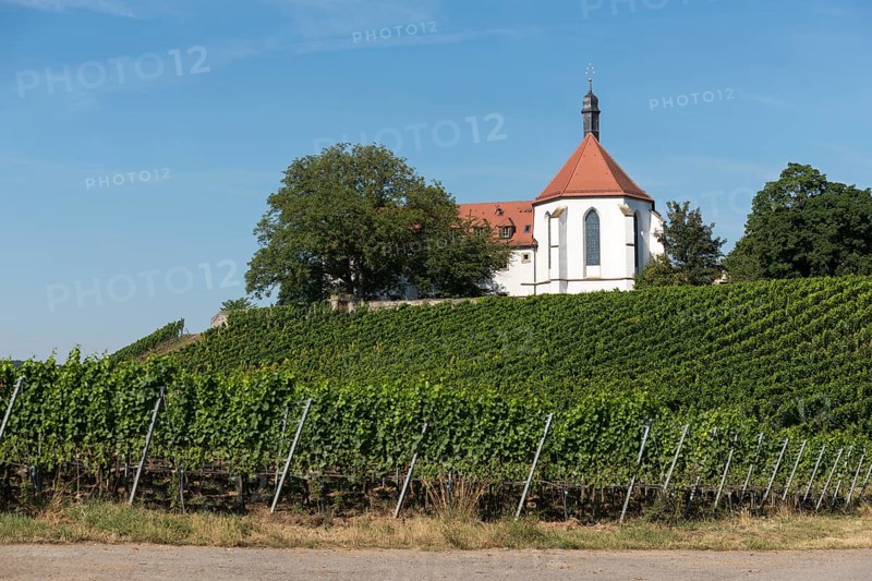 Monastery church Mariä Schutz an der Vogelsburg, vineyards, near Volkach, Mainfranken, Mainschleife, Franconia, Lower Franconia, Bavaria, Germany