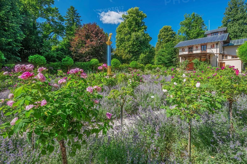 Rosarium with blooming roses in front of the Pompeian-Bavarian Casino on the Rose Island in Lake Starnberg, Feldafing, Upper Bavaria, Bavaria, Germany