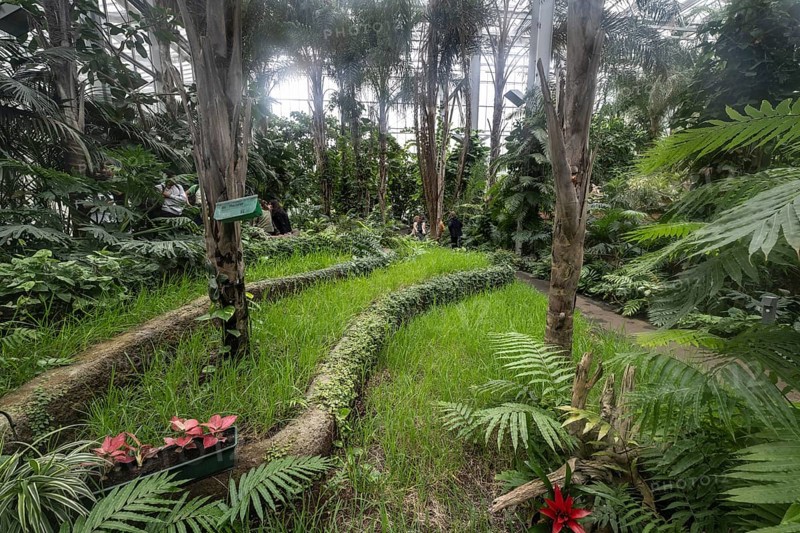 Balinese Garden, Gardens of the World, Berlin, Germany