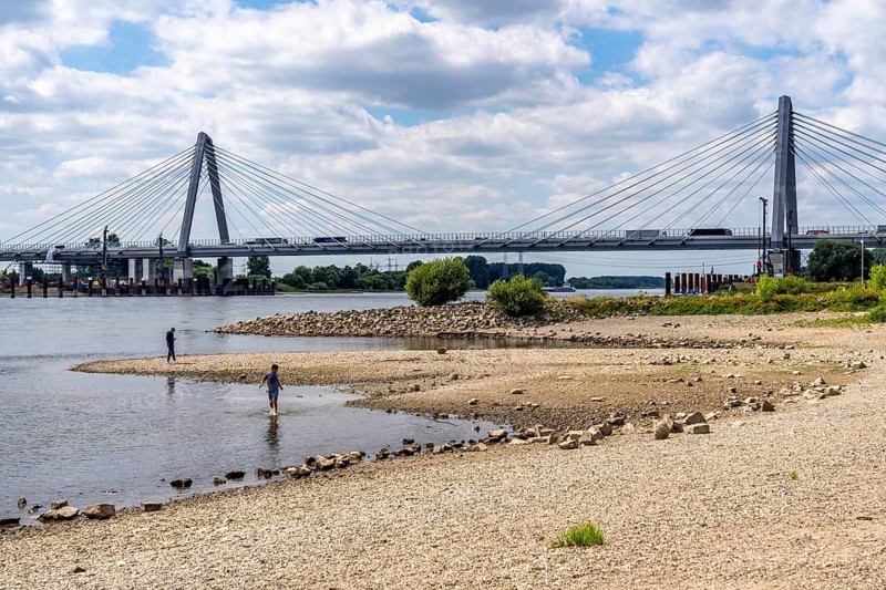 Low water level of the Rhine at Leverkusen, new Rhine bridge on the A1 motorway, extremely low water level of the Rhine, no restrictions on inland navigation yet, North Rhine-Westphalia, Germany