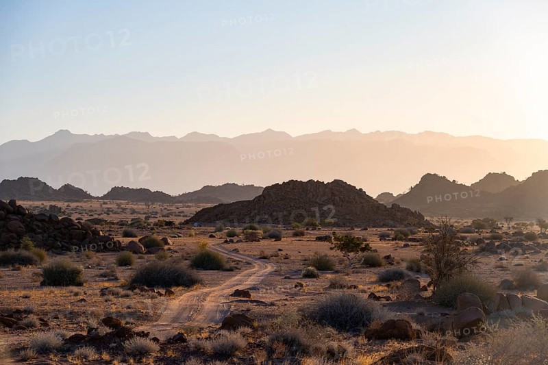 Sandy track, desert landscape in the evening light at sunset, backlit, Brandberg, Erongo, Damaraland, Namibia