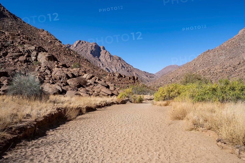 Tsisab Gorge, White Lady Trail, desert landscape, Brandberg, Erongo, Damaraland, Namibia
