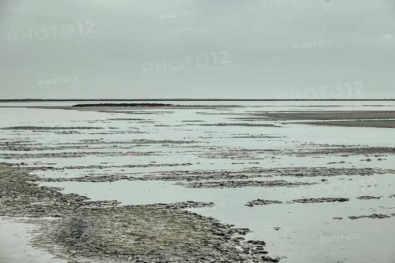 Rhone Delta, Arles, Provence, France