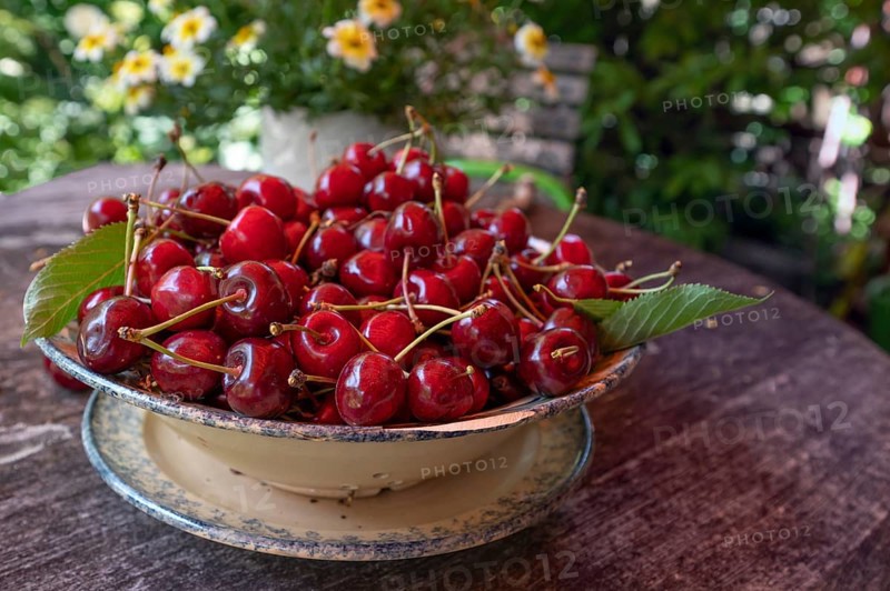 Fresh sweet cherries (Prunus avium) in a bowl, Bavaria, Germany