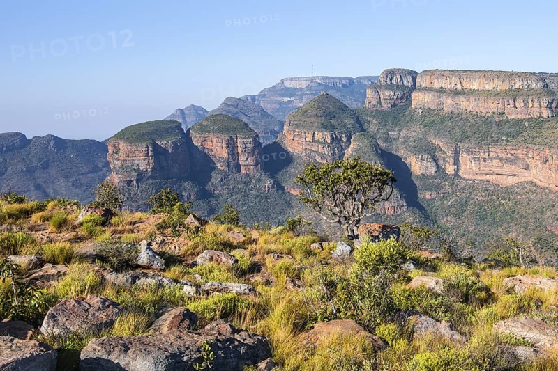Blyde River Canyon with Three Rondawels peak, view of canyon and table mountains, canyon landscape, Three Rondavels Viewpoint, Panorama Route, Mpumalanga, South Africa