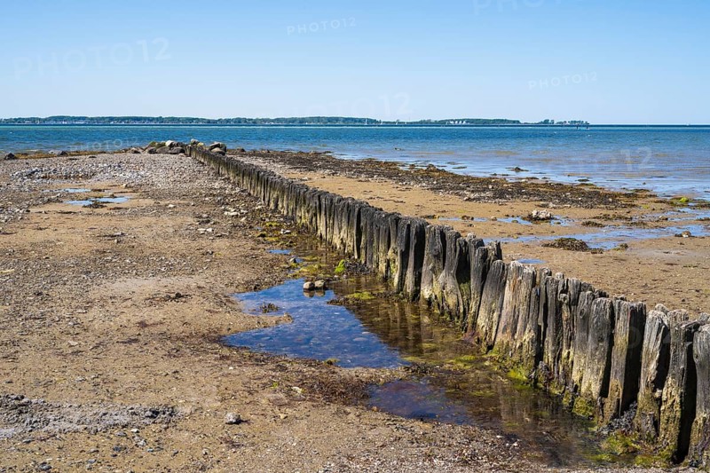 Wooden groynes on the coast, breakwater, Laboe, Baltic seaside resort, fjord, Baltic Sea, North Frisia, Schleswig-Holstein, Germany