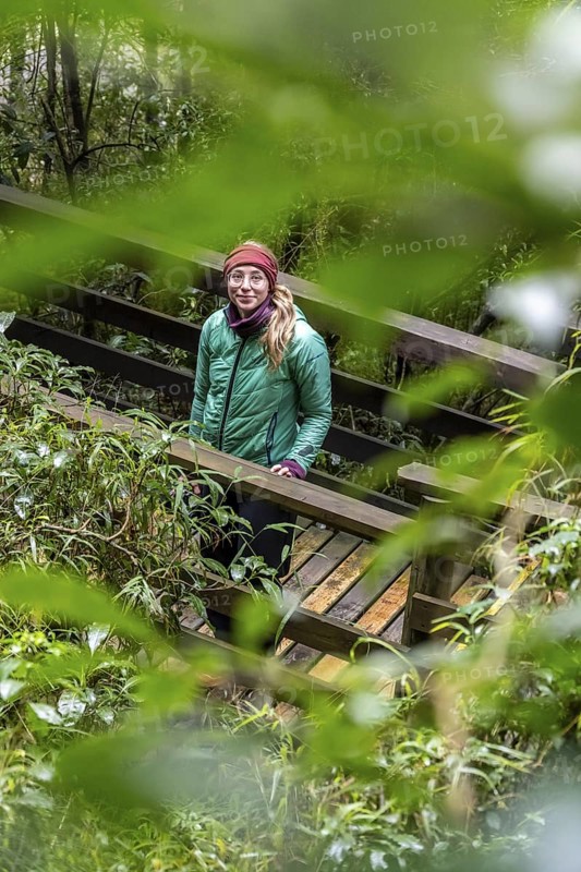Young woman on wooden path through dense forest, Graskop Gorge or Graskopkloof, Graskop, Mpumalanga, South Africa