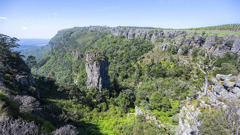 Rock needle in a densely forested canyon, Pinnacle Rock, view over canyon landscape, near Graskop, Mpumalanga, South Africa