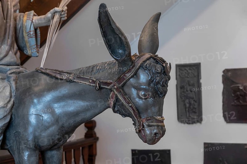 Palm donkey, created in 1767, detail of the donkey, Städtisches Museum, Krummebergstr. 30, Überlingen, Baden-Württemberg, Germany