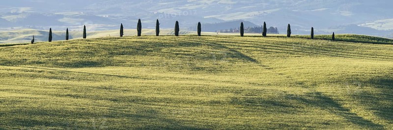 Landscape at sunrise around Pienza, Val d'Orcia, Orcia Valley, UNESCO World Heritage Site, Province of Siena, Tuscany, Italy