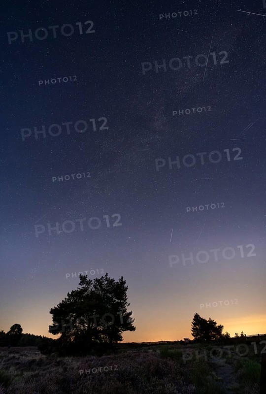 Mehlinger Heide at night, night sky with stars, Milky Way, Perseids and shooting stars. Mehlinger Heide nature reserve, Mehlingen, Rhineland-Palatinate, Germany