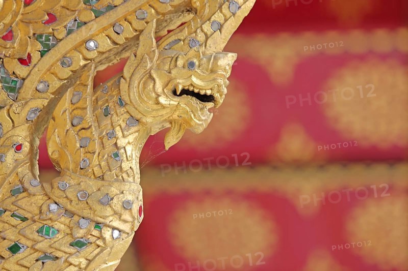 Golden dragon with ornaments and jewellery at the Siamese Sala-Thai I temple, Asian, detail, dragon head, precious stones, magnificent, spa gardens, Bad Homburg, Taunus, Hesse, Germany