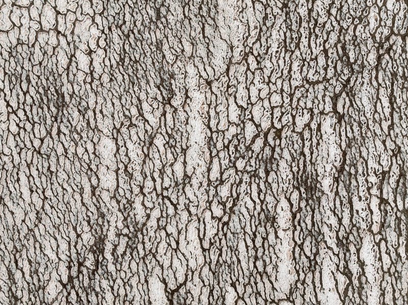 Saline deposits at the salt works of Walvis Bay. Aerial view. Drone shot. Namibia