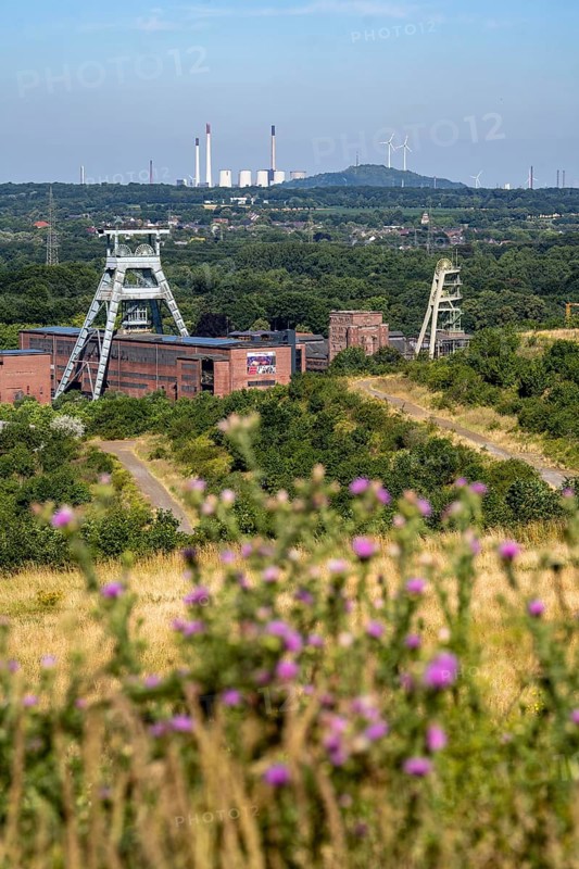 The double headframe of the disused Ewald mine, shaft 7, on the right headframe shaft 2, in Herten, in the background the UNIPER coal-fired power station Scholven, Gelsenkirchen, Scholten spoil tip with 2 wind turbines, North Rhine-Westphalia, Germany