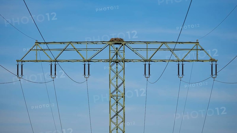 An osprey nest on a power pole, Mecklenburg-Western Pomerania, Müritz region, Germany