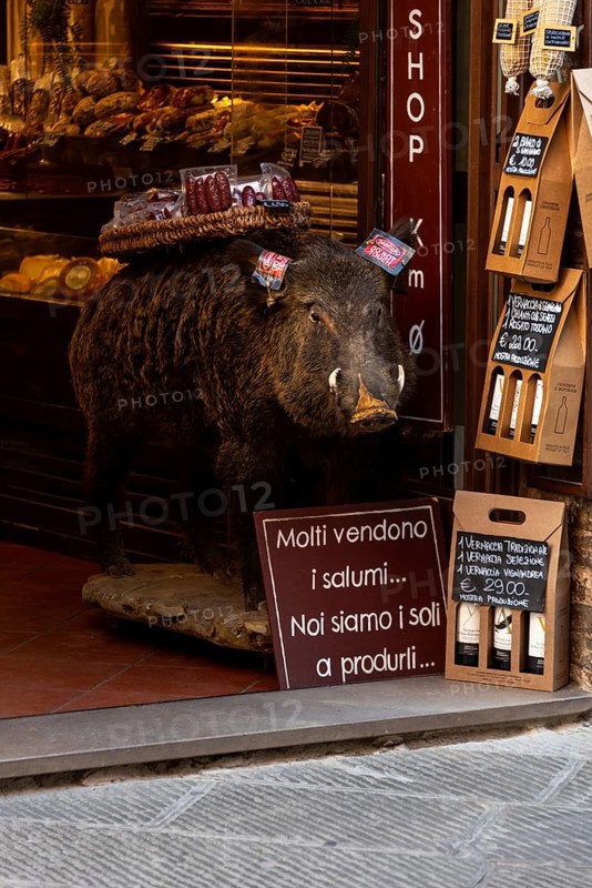 Stuffed wild boar with a basket of salami in front of a delicatessen, San Gimignano, Tuscany, Italy