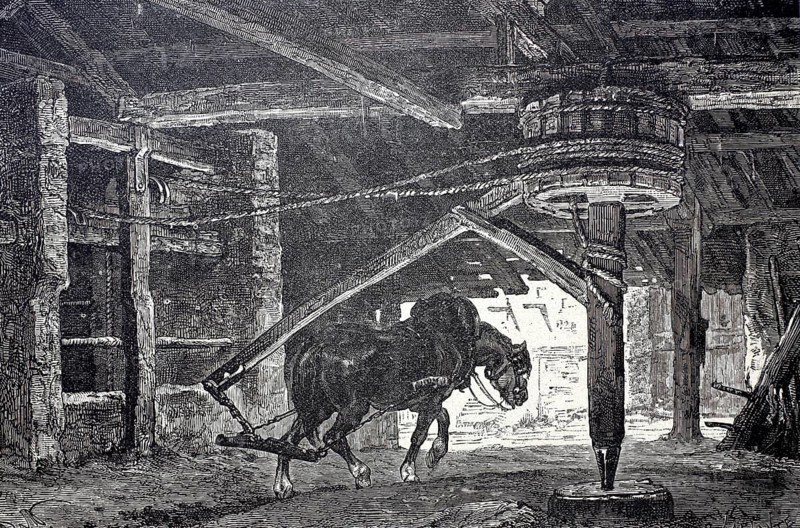 Mining horse turning the gin in a mining operation, digitally enhanced reproduction of a 19th century model, historical, exact date unknown