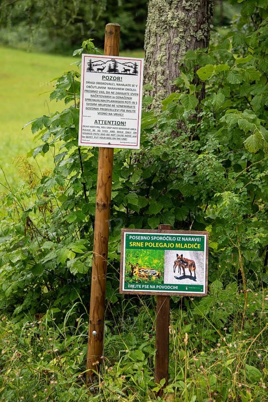 Two signs warn of dangers in a green forest area, Zgornje Jezersko, Gorenjska, Slovenia