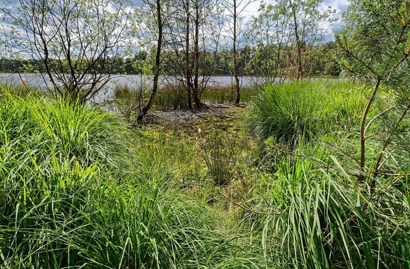 The Bullensee is located in a moorland area and is part of the Bullensee and Hemelsmoor nature reserve near the town of Zeven in the district of Rotenburg (Wümme) in Lower Saxony. The lake is also a local recreation area in the Bremen and Rotenburg/Wümme region. Bülstedt, Rotenburg, Lower Saxony, Germany