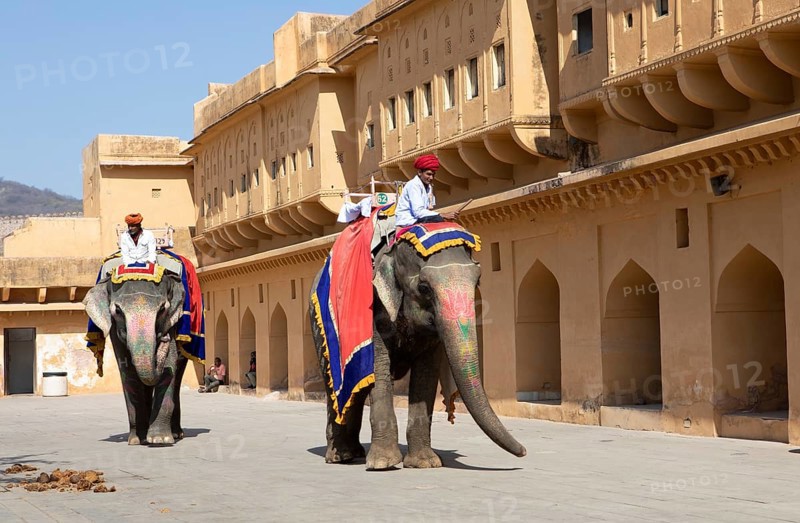 Indian mahouts on colourfully painted elephants in the Amber Fort or fortress, Jaipur, Rajasthan, India