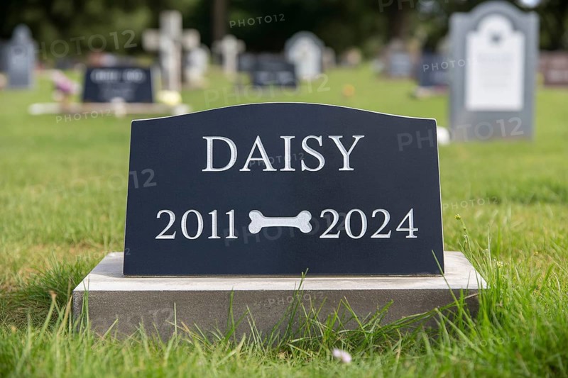 Traditional tombstone with bone for a dog in a pet cemetery. Memorial tribute for a beloved animal companion. Generative ai, AI generated