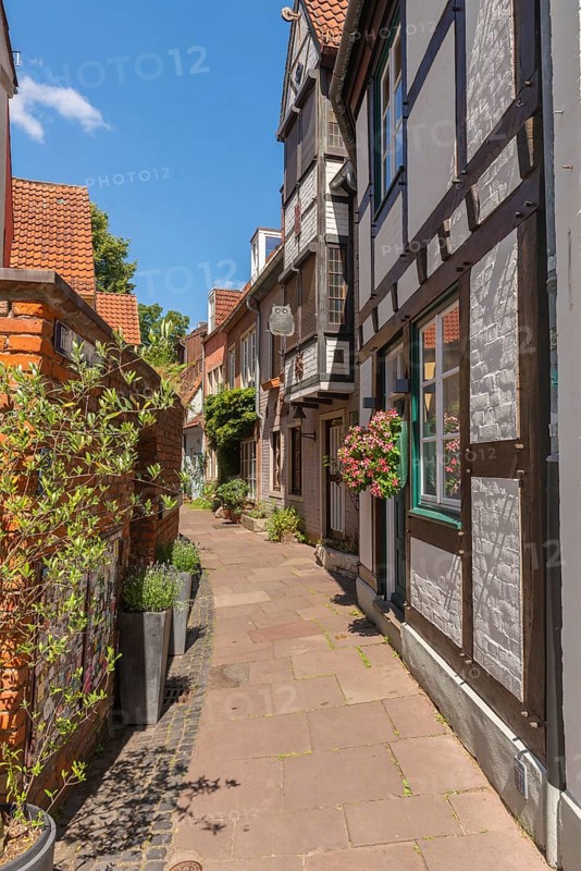 Schmaler Weg Hinter der Balge, half-timbered house with bay window, renovated Schnoor district with small shops, galleries, restaurants, cafés and residential buildings, Gängeviertel in the old town, former fishermen's and boatmen's settlement, narrow alleyways, pedestrian zone, numerous listed buildings, classicist, historic, baroque and renaissance architecture, flower pots, tourist attraction, destination, pleasure, Hanseatic city of Bremen, Germany