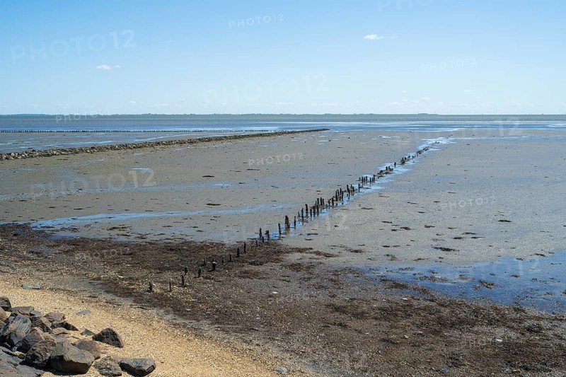 Wadden Sea at low tide, groynes, breakwater, Schleswig-Holstein Wadden Sea National Park, Pellworm Island, North Frisia, North Sea, Schleswig-Holstein, Germany