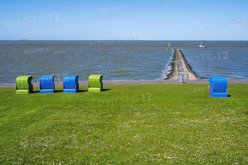 Beach chairs on a blooming meadow on the North Sea coast, Grünstrand, Pellworm Island, North Sea, North Frisia, Schleswig-Holstein, Germany