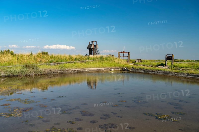Pointe d'Arçay Nature Reserve in L'Aiguillon-la-Presqu'ile, France