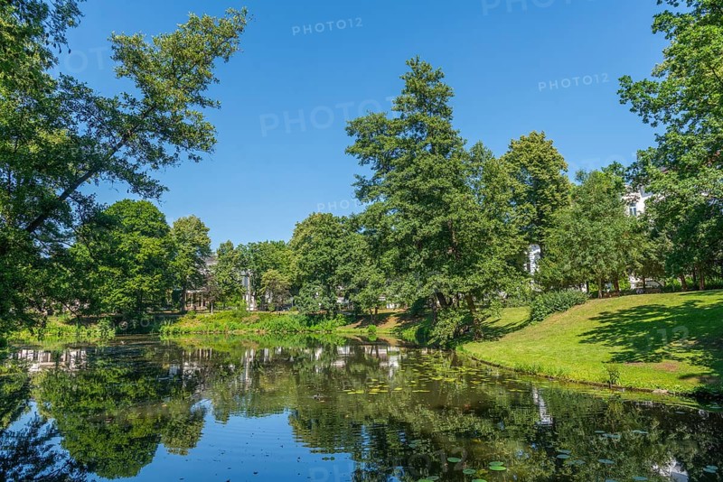 View across the water to Contresarpe Street, Bremen ramparts, formerly part of the city fortifications with ramparts and moat, today a park, water reflection, nature experience, history, Bremen, Germany