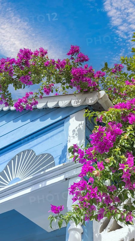 Dominican Republic, colorful colonial streets of Puerto Plata in historic city center